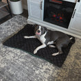 Load image into Gallery viewer, Midnight Emerald Pet Bed Comforter
