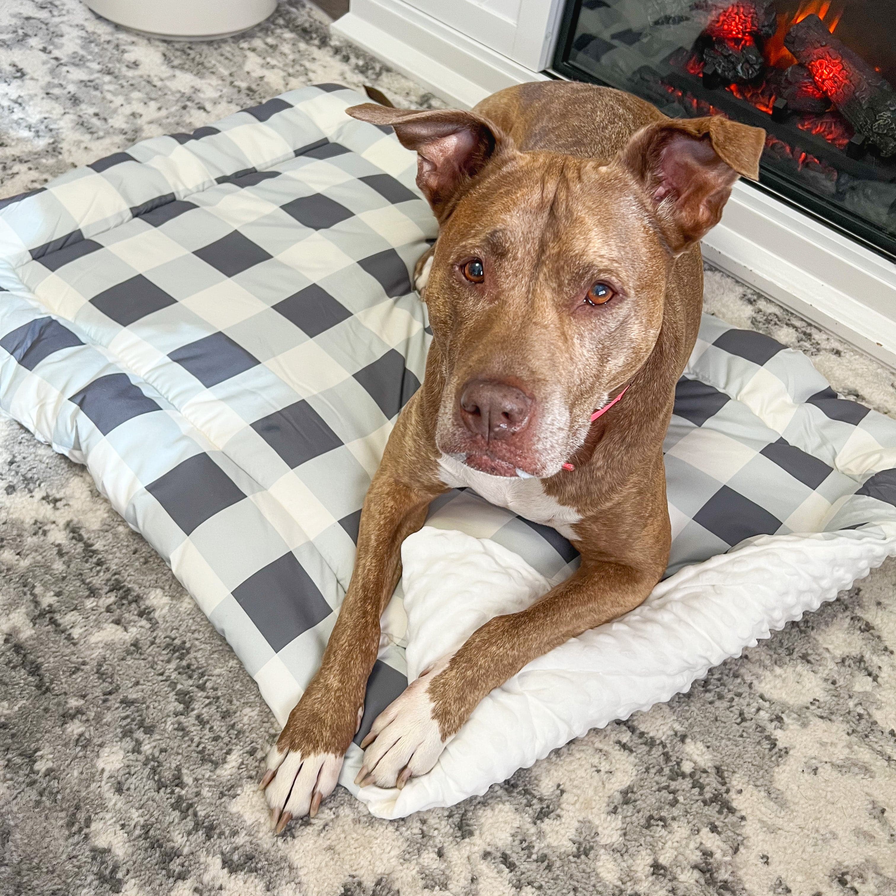 Check Me Out Grey Pet Bed Comforter