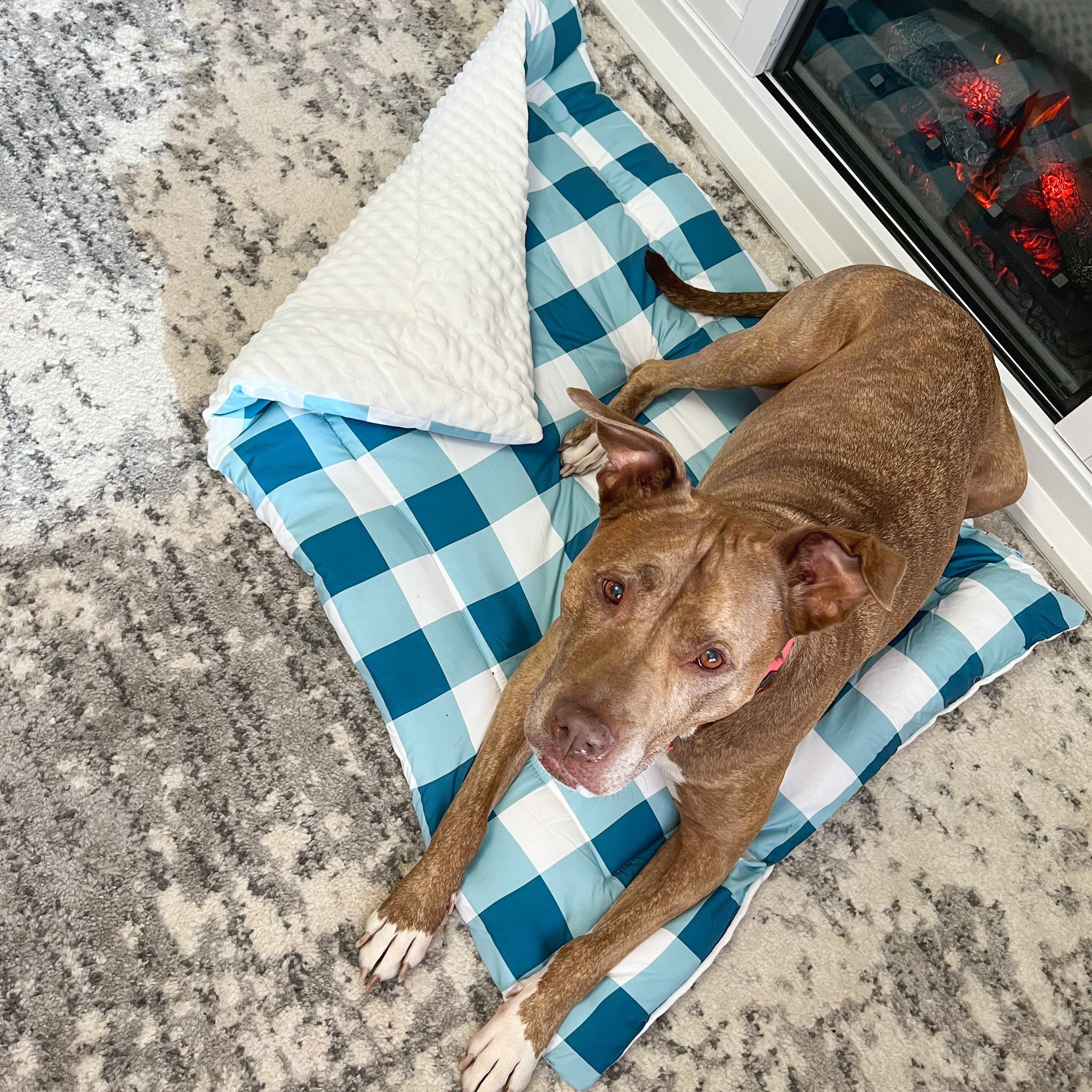 Check Me Out Blue Pet Bed Comforter