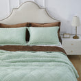 Load image into Gallery viewer, Mytickie Mint Pillow Shams (Set of 2)
