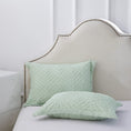 Load image into Gallery viewer, Mytickie Mint Pillow Shams (Set of 2)
