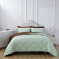 Load image into Gallery viewer, Mytickie Mint Pillow Shams (Set of 2)
