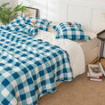 Load image into Gallery viewer, Check Me Out Blue Comforter
