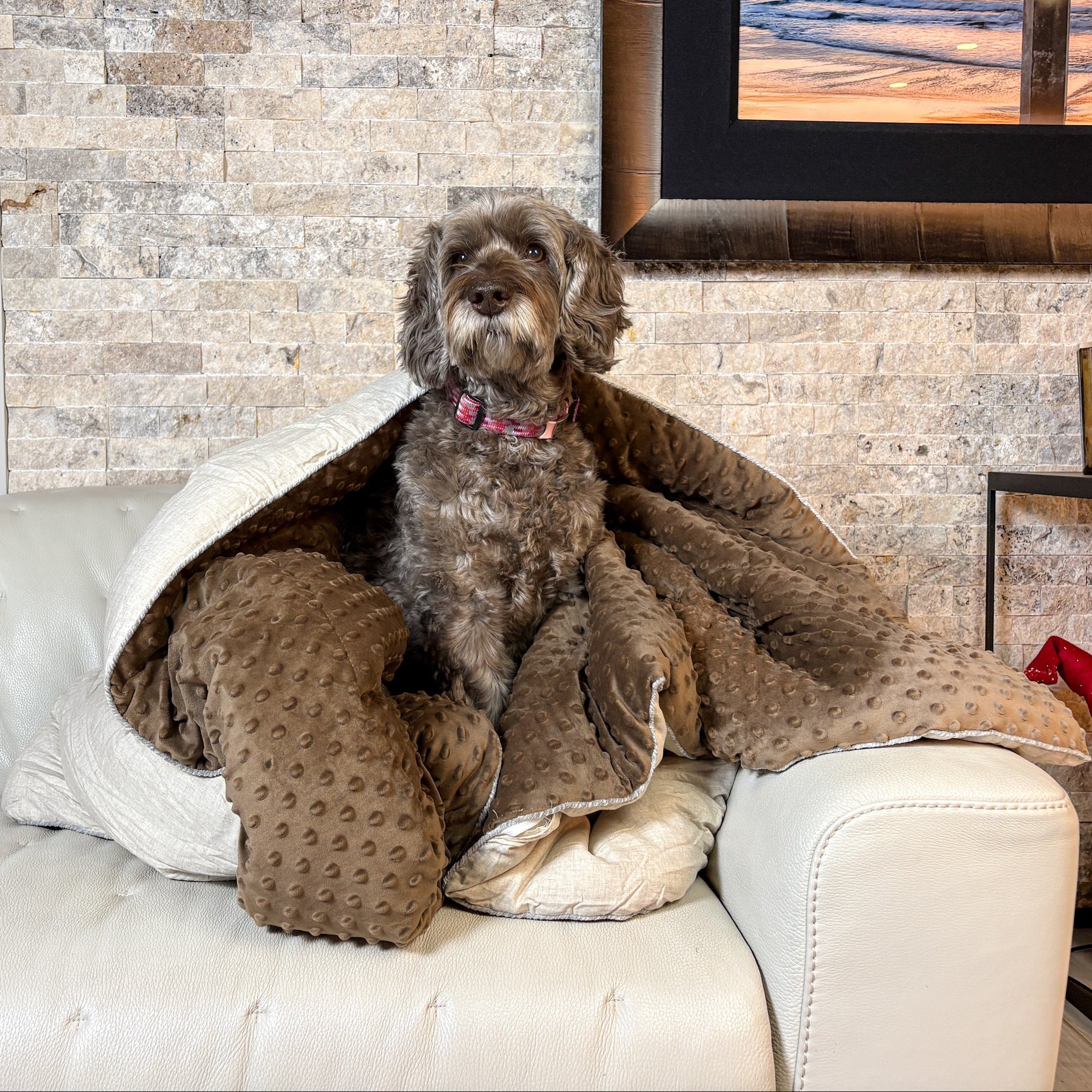 Cuddle Cloud XL Throw Blanket