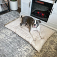 Load image into Gallery viewer, Cream Mocha Pet Bed Comforter
