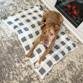 Load image into Gallery viewer, Check Me Out Grey Pet Bed Comforter
