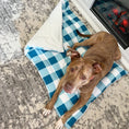 Load image into Gallery viewer, Check Me Out Blue Pet Bed Comforter
