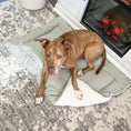 Load image into Gallery viewer, Quilted Grey Pet Bed Comforter

