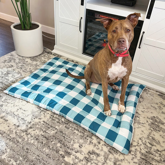 Check Me Out Blue Pet Bed Comforter