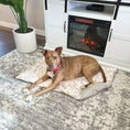 Load image into Gallery viewer, Sweet Blossoms Pet Bed Comforter
